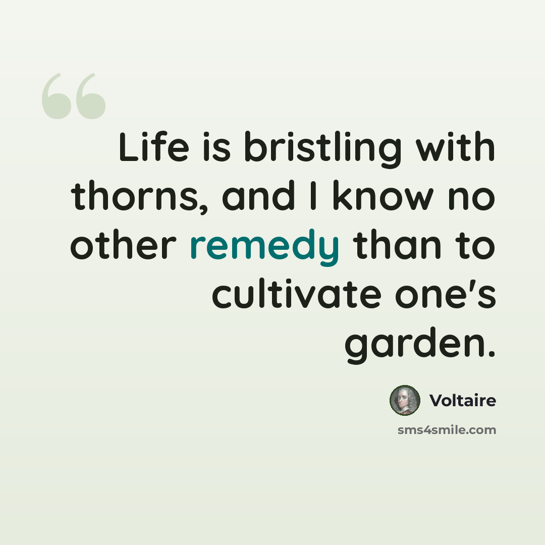 “Life is bristling with thorns, and I know no other remedy than to cultivate one's garden.” quote by Voltaire