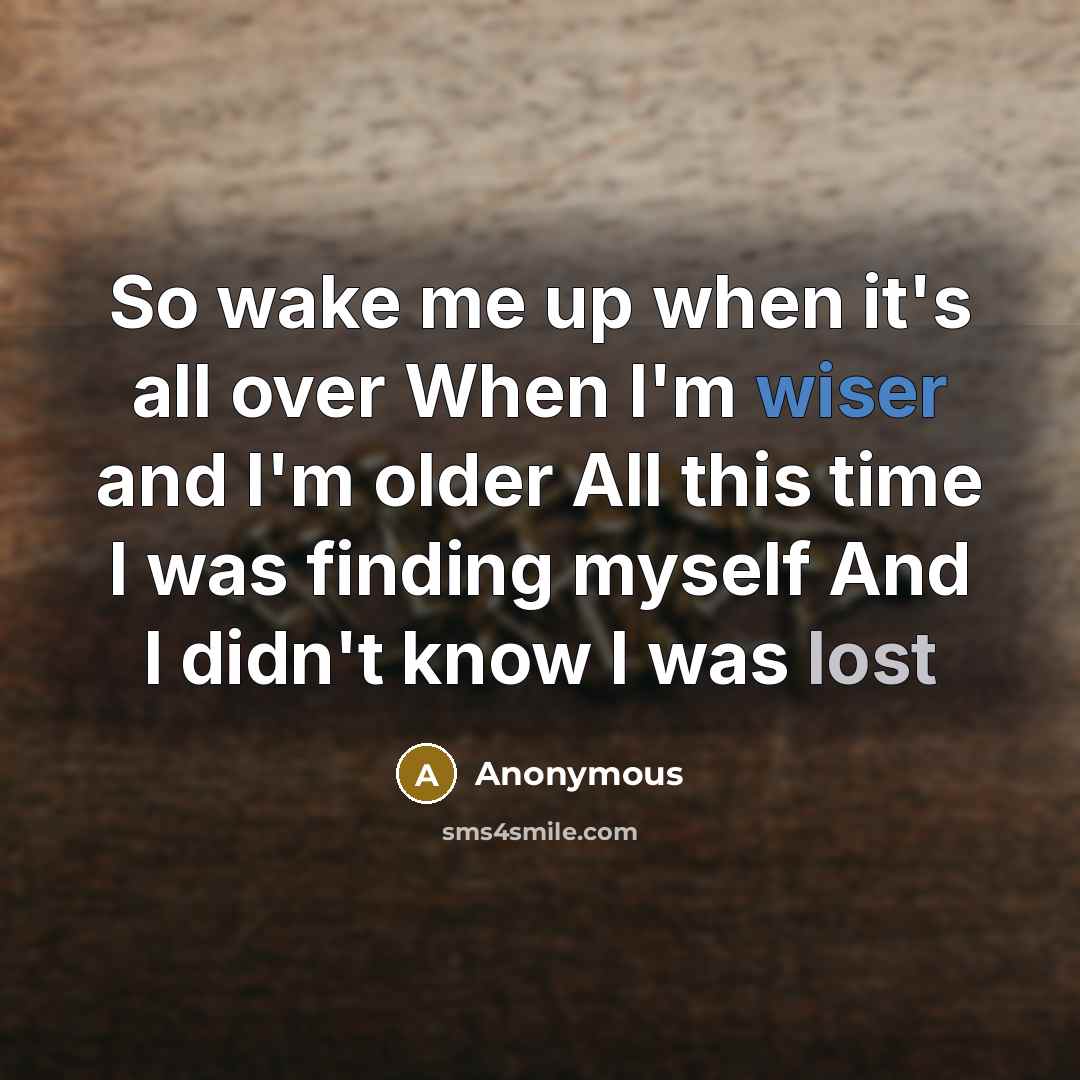 “So wake me up when it's all over When I'm wiser and I'm older All this time I was finding myself And I didn't know I was lost” quote by Anonymous