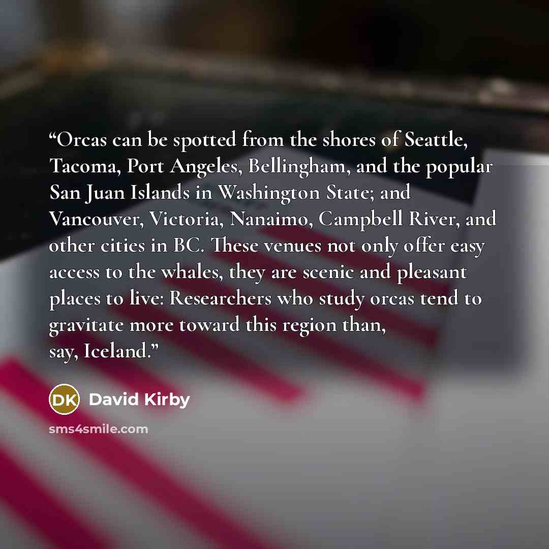 “Orcas can be spotted from the shores of Seattle, Tacoma, Port Angeles, Bellingham, and the popular San Juan Islands in Washington State; and Vancouver, Victoria, Nanaimo, Campbell River, and other cities in BC. These venues not only offer easy access to the whales, they are scenic and pleasant…” quote by David Kirby