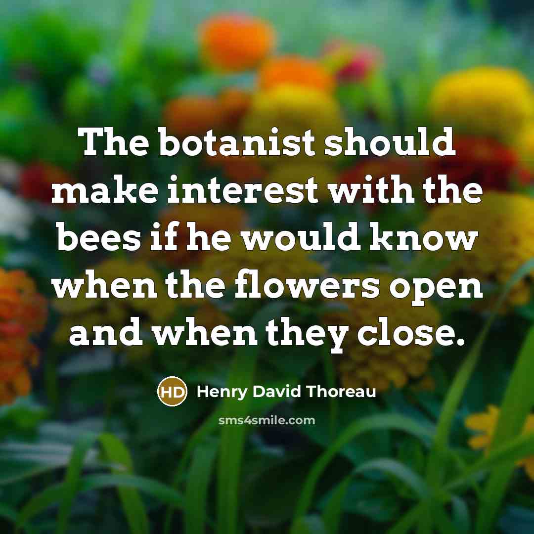 “The botanist should make interest with the bees if he would know when the flowers open and when they close.” quote by Henry David Thoreau