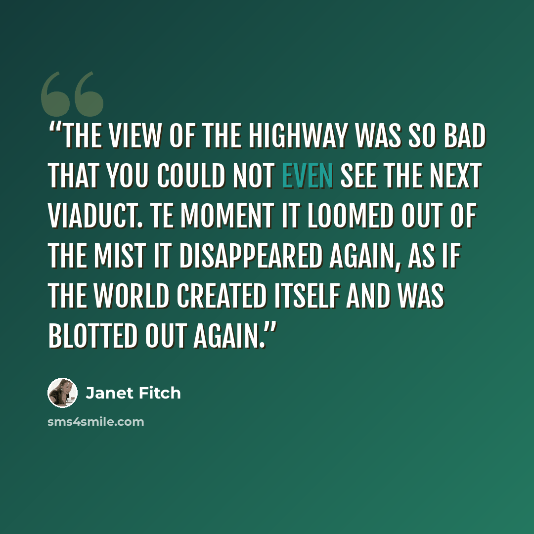 “The view of the highway was so bad that you could not even see the next viaduct. Te moment it loomed out of the mist it disappeared again, as if the world created itself and was blotted out again.” quote by Janet Fitch