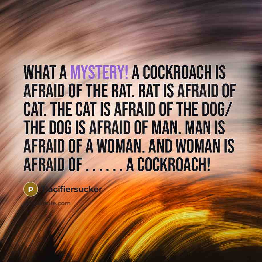 “What A Mystery! A cockroach is afraid of the Rat. Rat is afraid of Cat. The cat is afraid of the dog/ The dog is afraid of Man. Man is afraid of a Woman. And Woman is afraid of . . . . . . A Cockroach!” quote by Pacifiersucker
