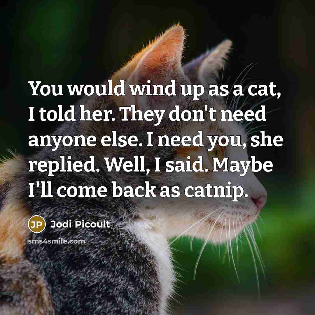 “You would wind up as a cat, I told her. They don't need anyone else. I need you, she replied. Well, I said. Maybe I'll come back as catnip.” quote by Jodi Picoult