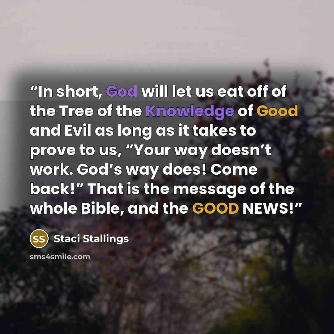 “In short, God will let us eat off of the Tree of the Knowledge of Good and Evil as long as it takes to prove to us, “Your way doesn’t work. God’s way does! Come back!” That is the message of the whole Bible, and the GOOD NEWS!” quote by Staci Stallings