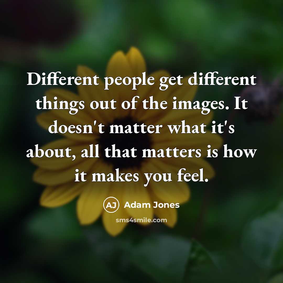 “Different people get different things out of the images. It doesn't matter what it's about, all that matters is how it makes you feel.” quote by Adam Jones
