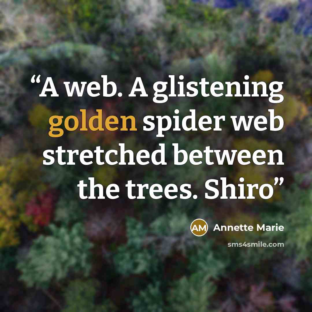 “A web. A glistening golden spider web stretched between the trees. Shiro” quote by Annette Marie