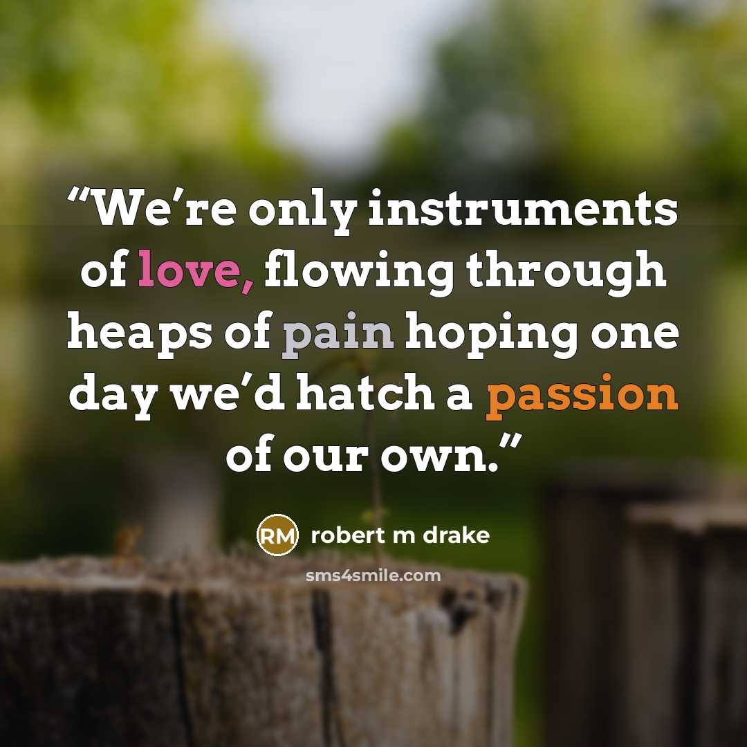 “We’re only instruments of love, flowing through heaps of pain hoping one day we’d hatch a passion of our own.” quote by robert m drake