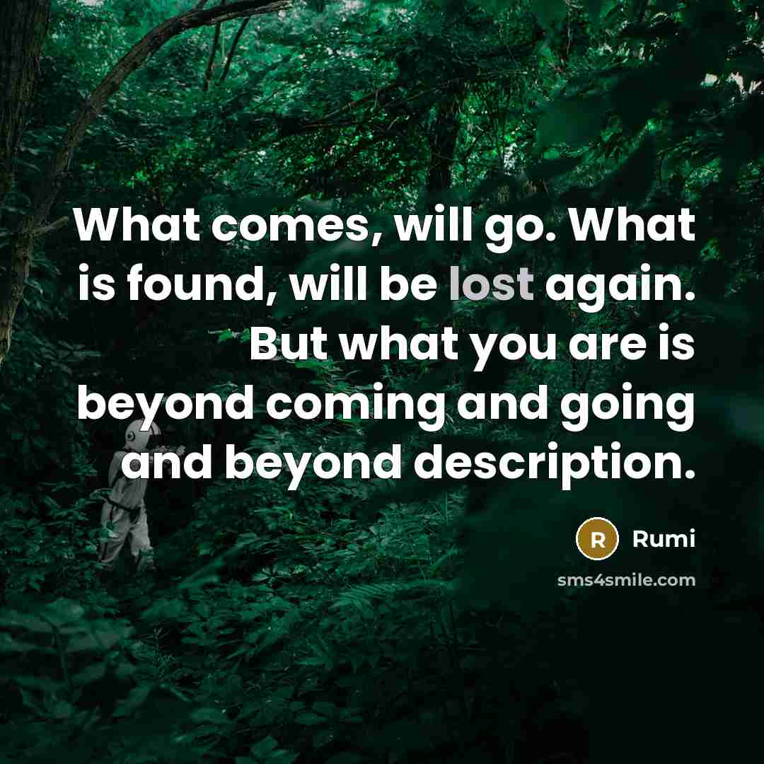 “What comes, will go. What is found, will be lost again. But what you are is beyond coming and going and beyond description.” quote by Rumi