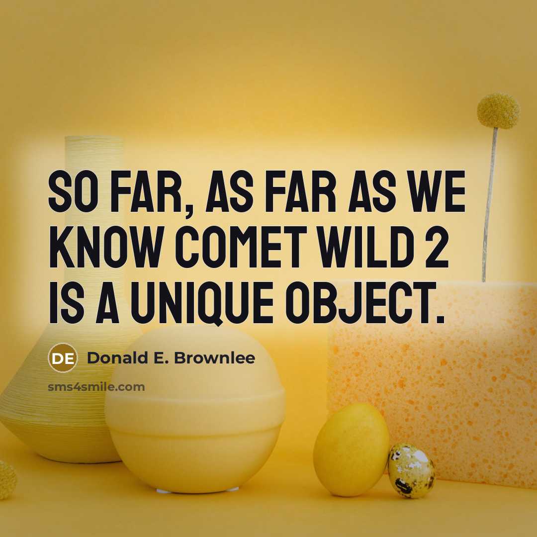 “So far, as far as we know comet Wild 2 is a unique object.” quote by Donald E. Brownlee