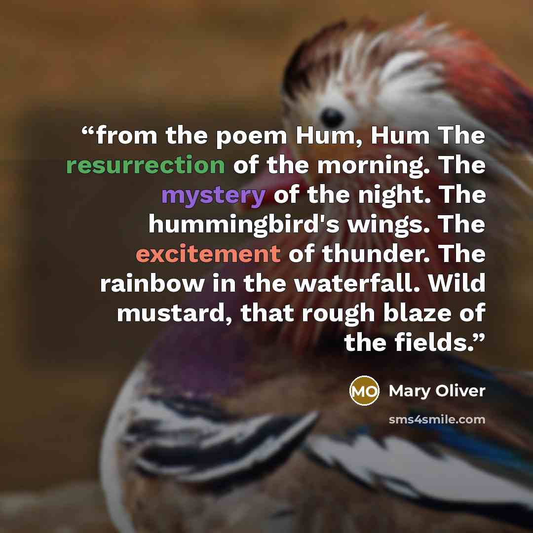 “from the poem Hum, Hum The resurrection of the morning. The mystery of the night. The hummingbird's wings. The excitement of thunder. The rainbow in the waterfall. Wild mustard, that rough blaze of the fields.” quote by Mary Oliver
