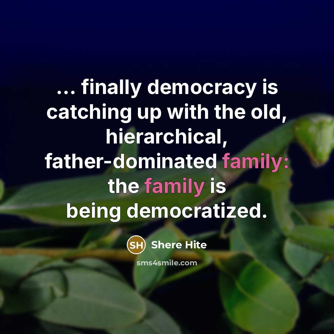 “... finally democracy is catching up with the old, hierarchical, father-dominated family: the family is being democratized.” quote by Shere Hite