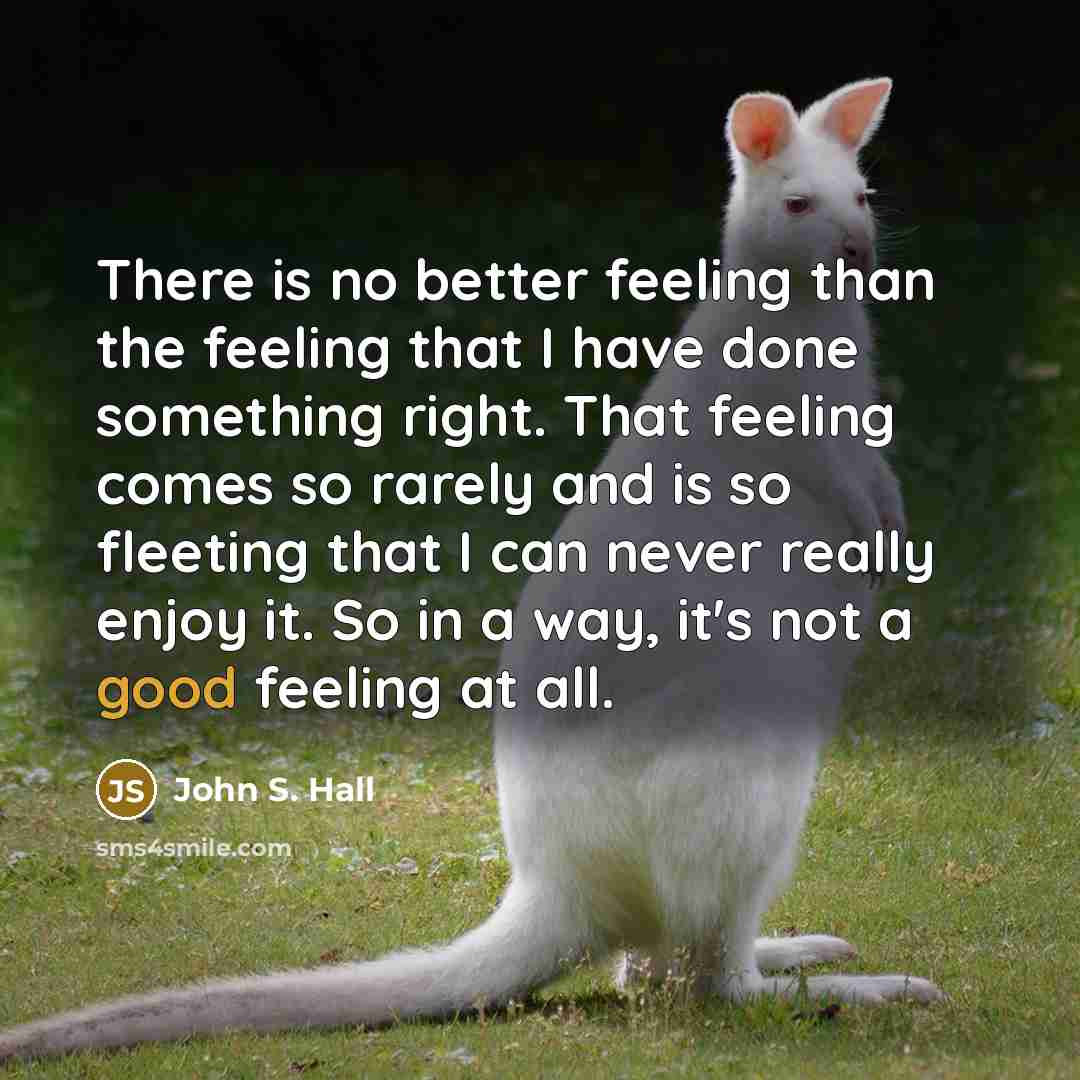 “There is no better feeling than the feeling that I have done something right. That feeling comes so rarely and is so fleeting that I can never really enjoy it. So in a way, it's not a good feeling at all.” quote by John S. Hall