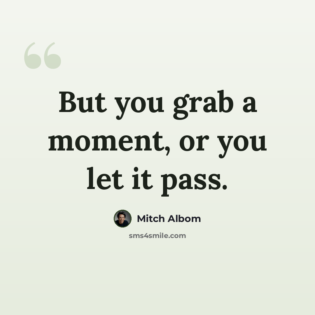“But you grab a moment, or you let it pass.” quote by Mitch Albom