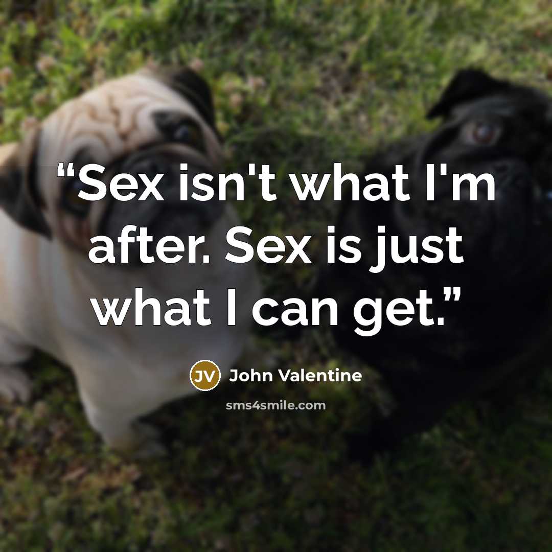 “Sex isn't what I'm after. Sex is just what I can get.” quote by John Valentine