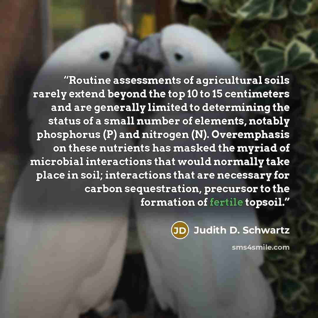 “Routine assessments of agricultural soils rarely extend beyond the top 10 to 15 centimeters and are generally limited to determining the status of a small number of elements, notably phosphorus (P) and nitrogen (N). Overemphasis on these nutrients has masked the myriad of microbial interactions…” quote by Judith D. Schwartz