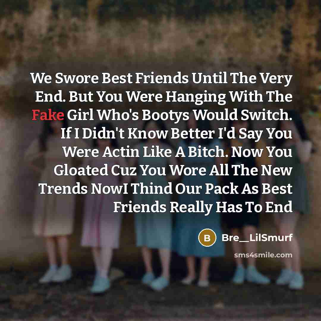 “We Swore Best Friends Until The Very End. But You Were Hanging With The Fake Girl Who's Bootys Would Switch. If I Didn't Know Better I'd Say You Were Actin Like A Bitch. Now You Gloated Cuz You Wore All The New Trends NowI Thind Our Pack As Best Friends Really Has To End” quote by Bre__LilSmurf