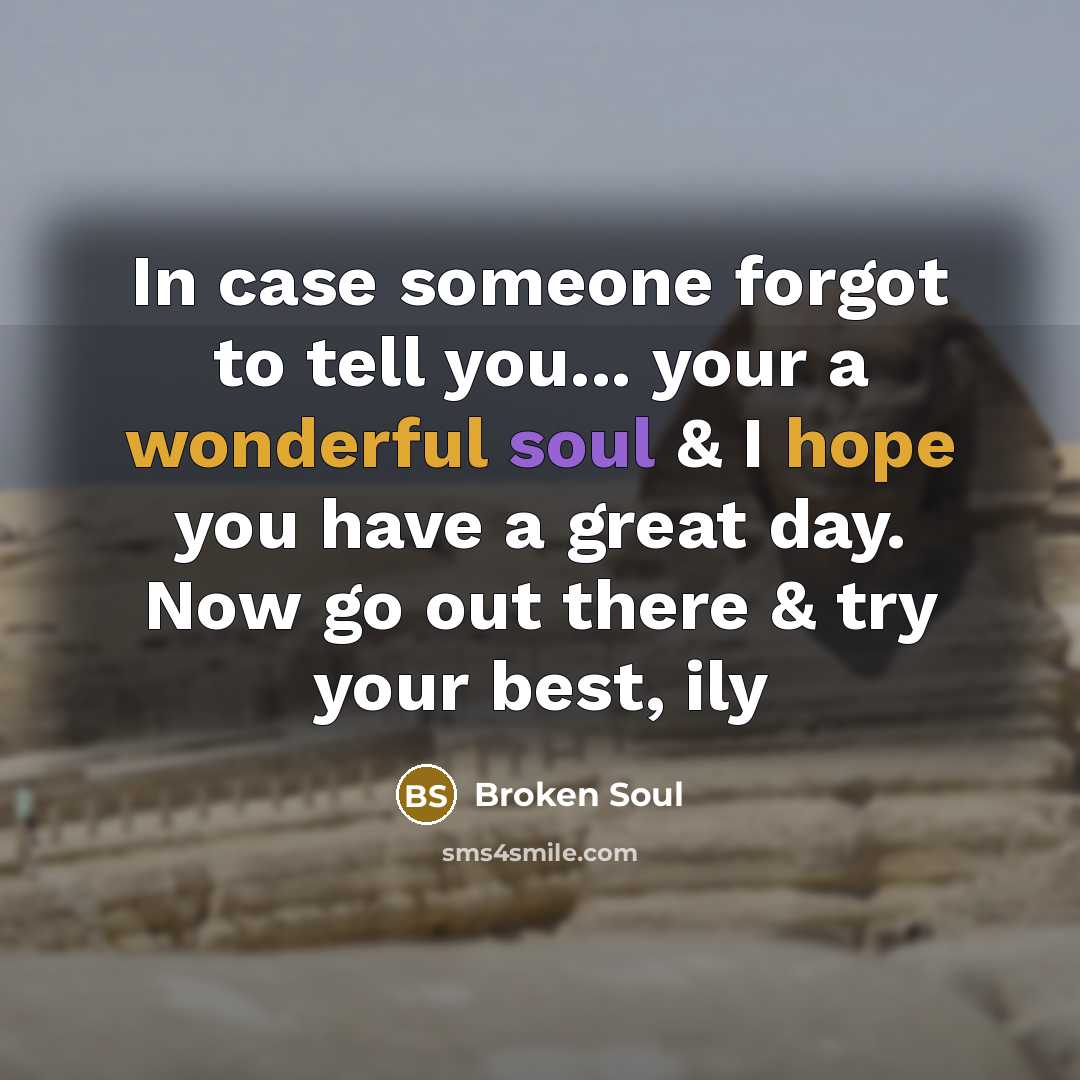 “In case someone forgot to tell you... your a wonderful soul & I hope you have a great day. Now go out there & try your best, ily” quote by Broken Soul