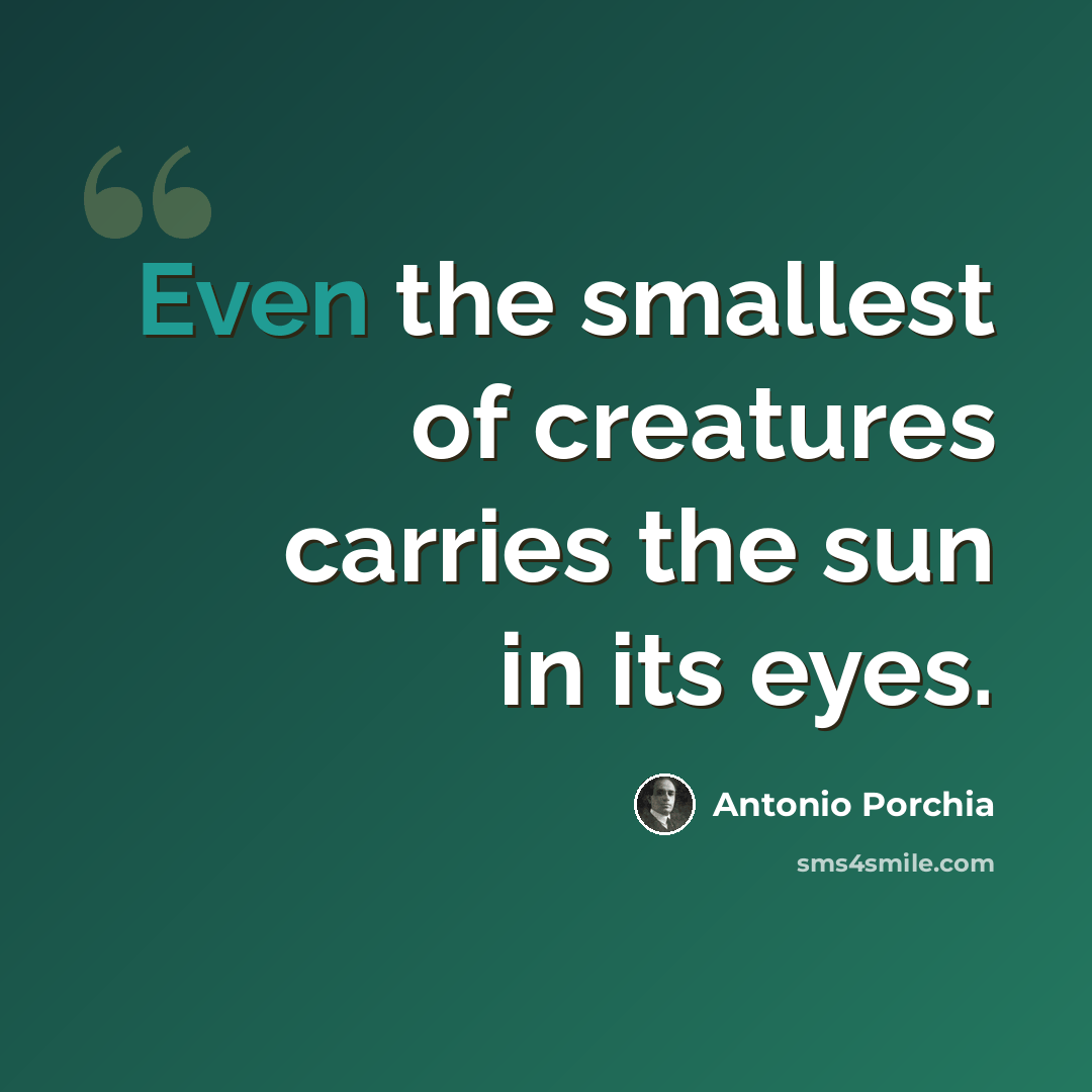 “Even the smallest of creatures carries the sun in its eyes.” quote by Antonio Porchia