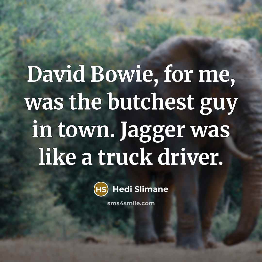 “David Bowie, for me, was the butchest guy in town. Jagger was like a truck driver.” quote by Hedi Slimane