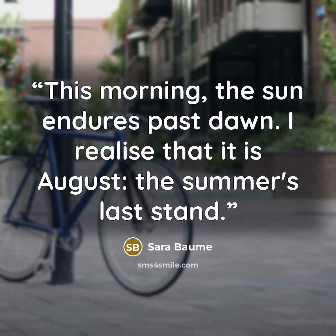 “This morning, the sun endures past dawn. I realise that it is August: the summer's last stand.” quote by Sara Baume