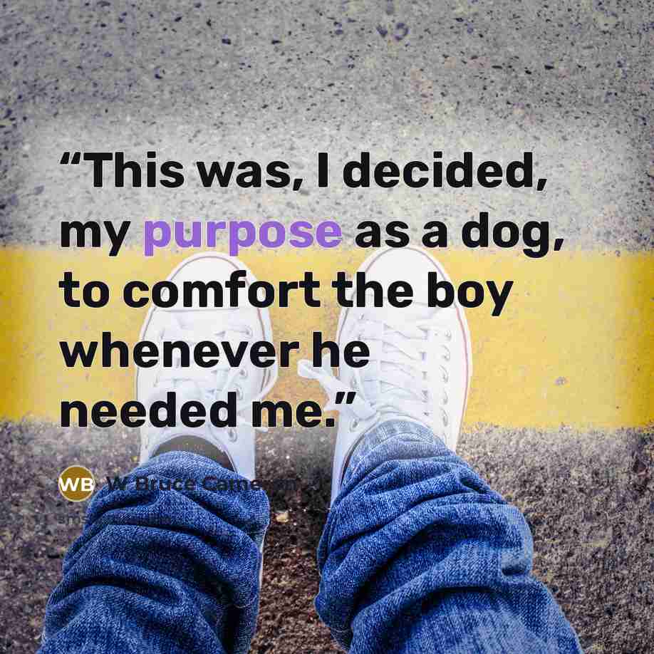 “This was, I decided, my purpose as a dog, to comfort the boy whenever he needed me.” quote by W Bruce Cameron
