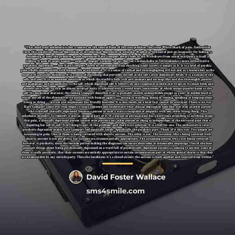 “That dead-eyed anhedonia is but a remora on the ventral flank of the true predator, the Great White Shark of pain. Authorities term this condition clinical depression or involutional depression or unipolar dysphoria. Instead of just an incapacity for feeling, a deadening of soul, the…” quote by David Foster Wallace