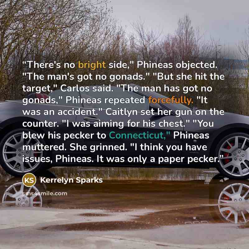 “There's no bright side," Phineas objected. "The man's got no gonads." "But she hit the target," Carlos said. "The man has got no gonads," Phineas repeated forcefully. "It was an accident." Caitlyn set her gun on the counter. "I was aiming for his chest." "You blew his pecker to Connecticut,"…” quote by Kerrelyn Sparks