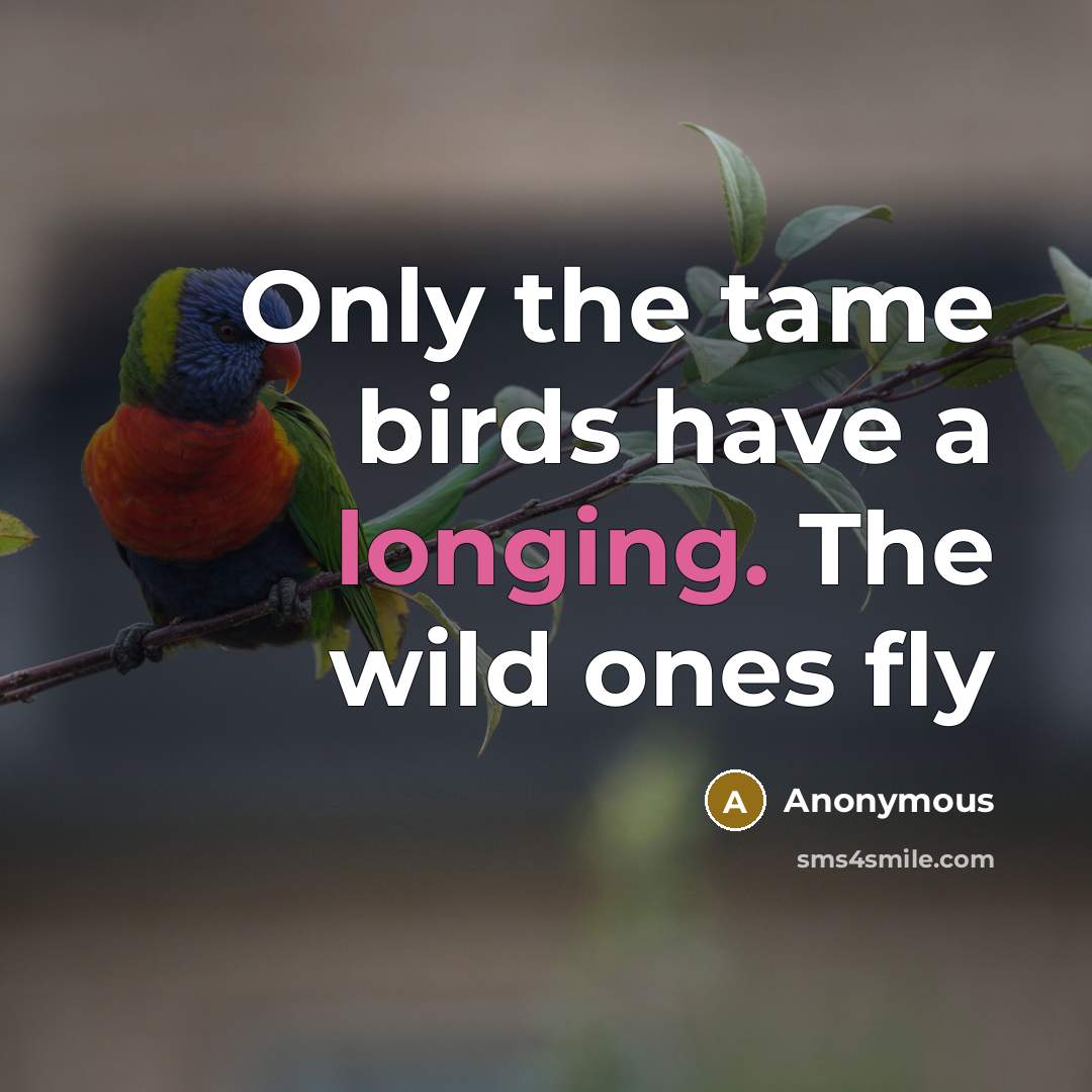 “Only the tame birds have a longing. The wild ones fly” quote by Anonymous
