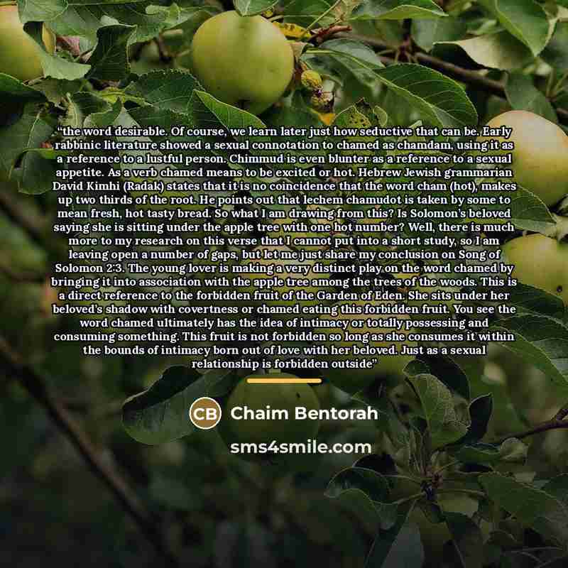 “the word desirable. Of course, we learn later just how seductive that can be. Early rabbinic literature showed a sexual connotation to chamed as chamdam, using it as a reference to a lustful person. Chimmud is even blunter as a reference to a sexual appetite. As a verb chamed means to be excited…” quote by Chaim Bentorah