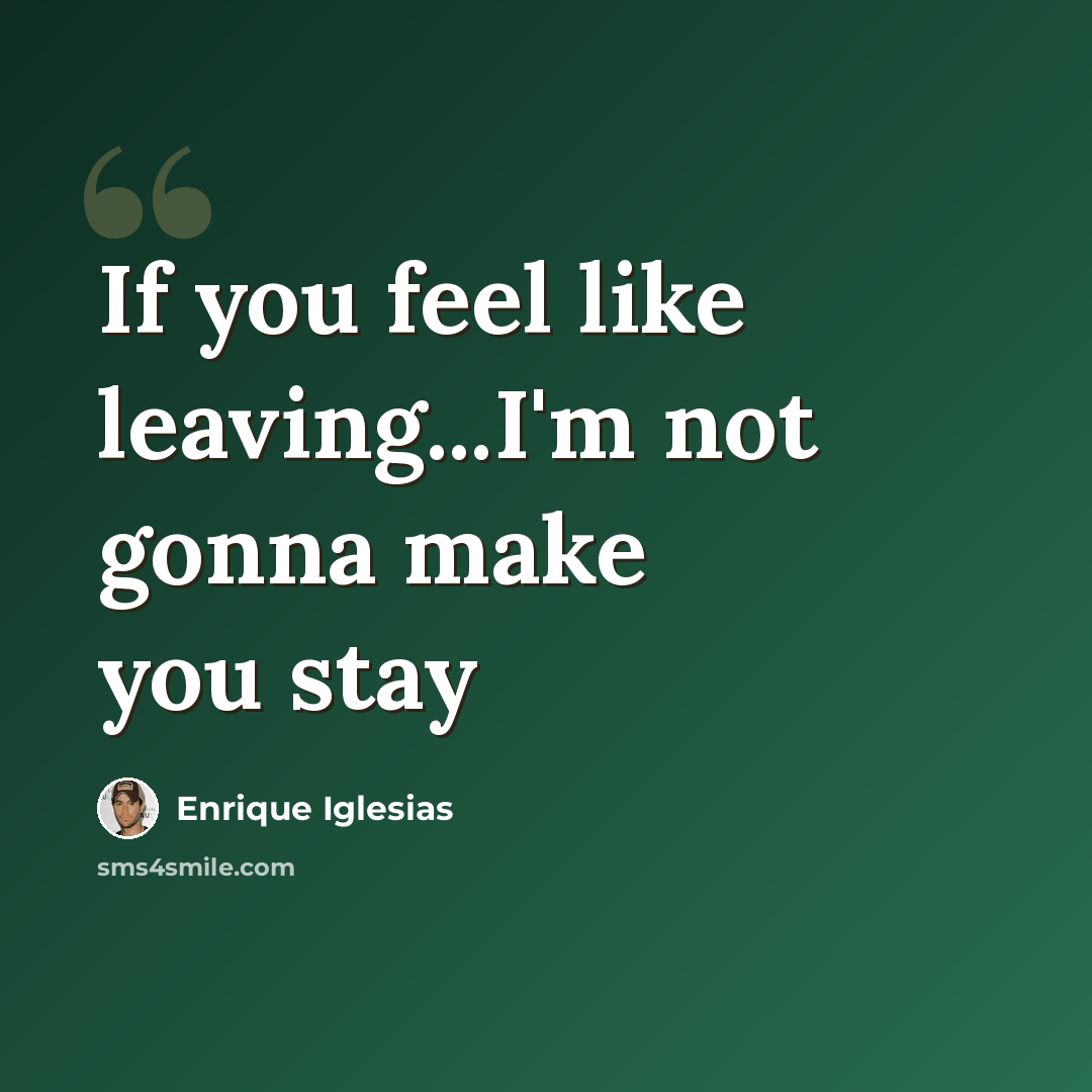 “If you feel like leaving...I'm not gonna make you stay” quote by Enrique Iglesias
