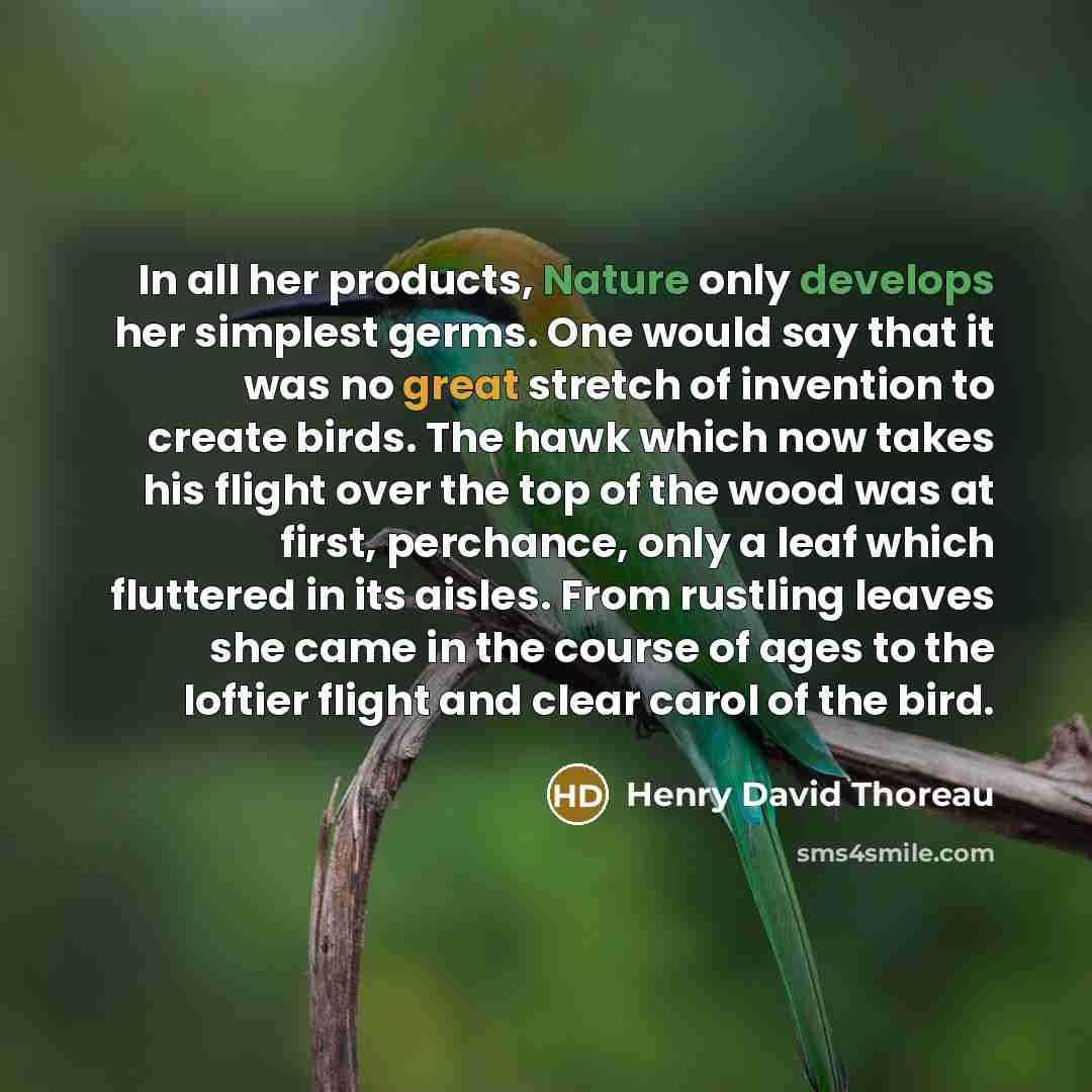 “In all her products, Nature only develops her simplest germs. One would say that it was no great stretch of invention to create birds. The hawk which now takes his flight over the top of the wood was at first, perchance, only a leaf which fluttered in its aisles. From rustling leaves she came in…” quote by Henry David Thoreau