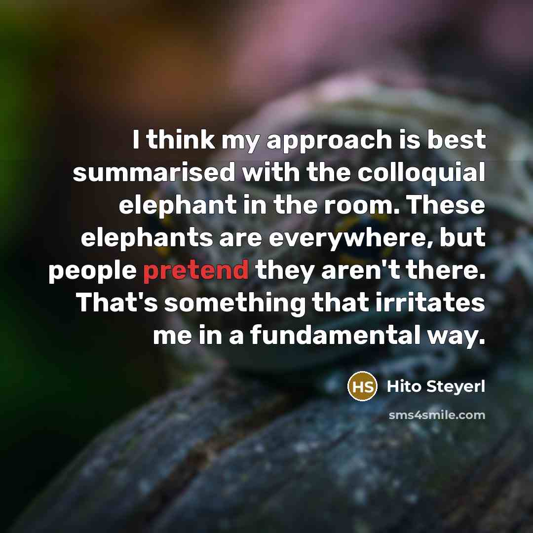 “I think my approach is best summarised with the colloquial elephant in the room. These elephants are everywhere, but people pretend they aren't there. That's something that irritates me in a fundamental way.” quote by Hito Steyerl
