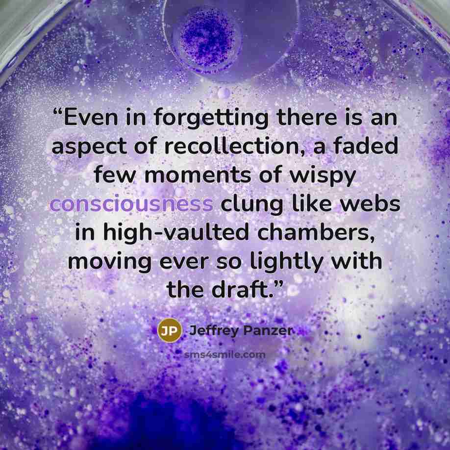 “Even in forgetting there is an aspect of recollection, a faded few moments of wispy consciousness clung like webs in high-vaulted chambers, moving ever so lightly with the draft.” quote by Jeffrey Panzer
