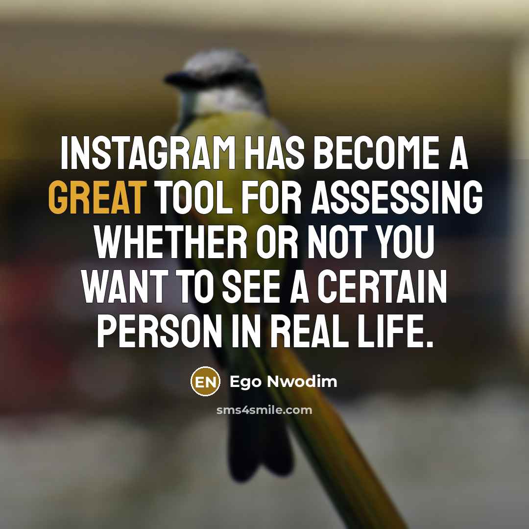“Instagram has become a great tool for assessing whether or not you want to see a certain person in real life.” quote by Ego Nwodim