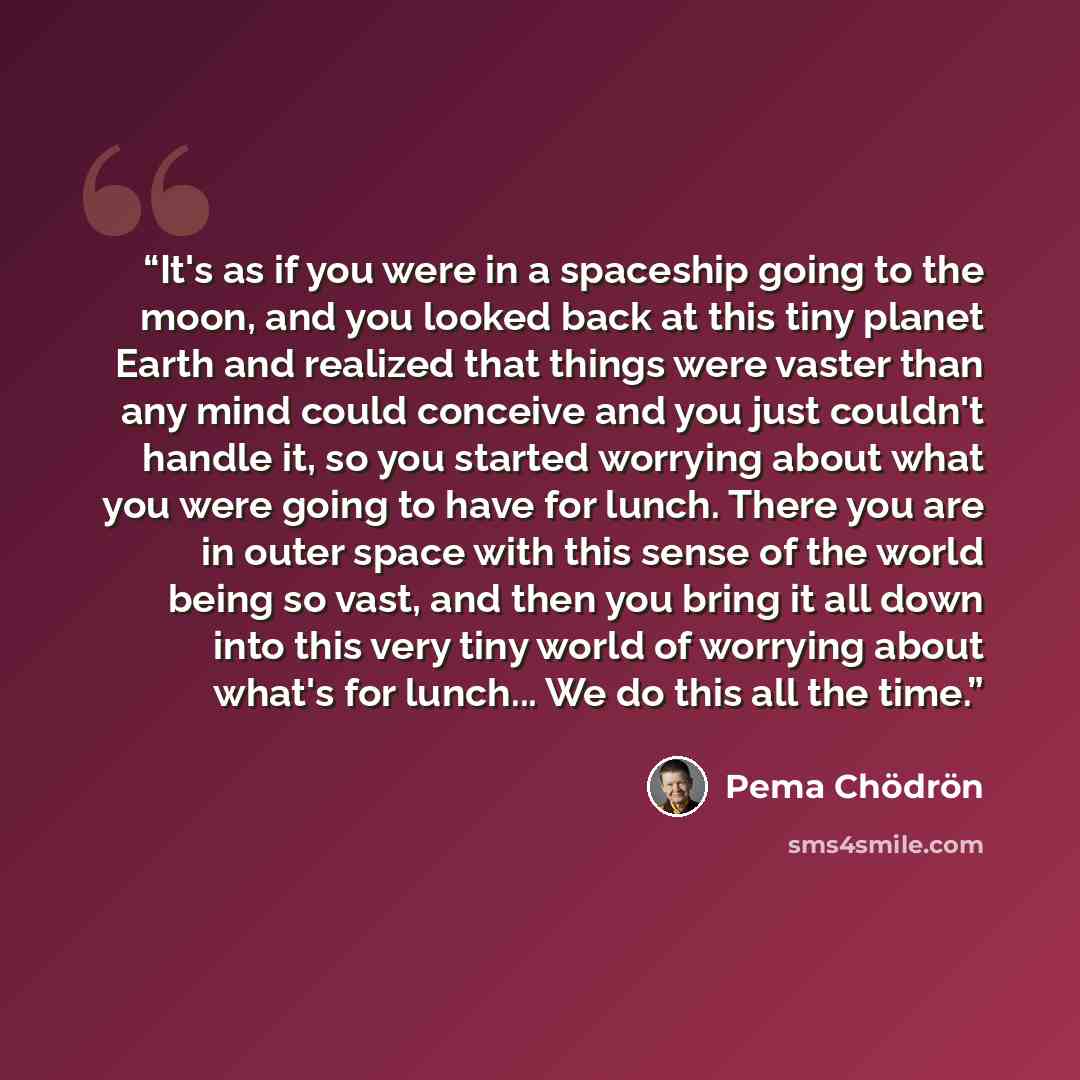“It's as if you were in a spaceship going to the moon, and you looked back at this tiny planet Earth and realized that things were vaster than any mind could conceive and you just couldn't handle it, so you started worrying about what you were going to have for lunch. There you are in outer space…” quote by Pema Chödrön