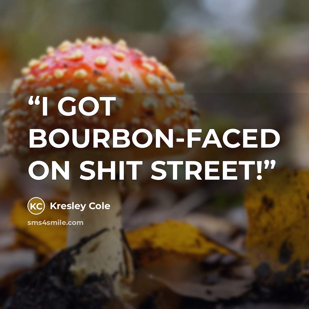 “I GOT BOURBON-FACED ON SHIT STREET!” quote by Kresley Cole