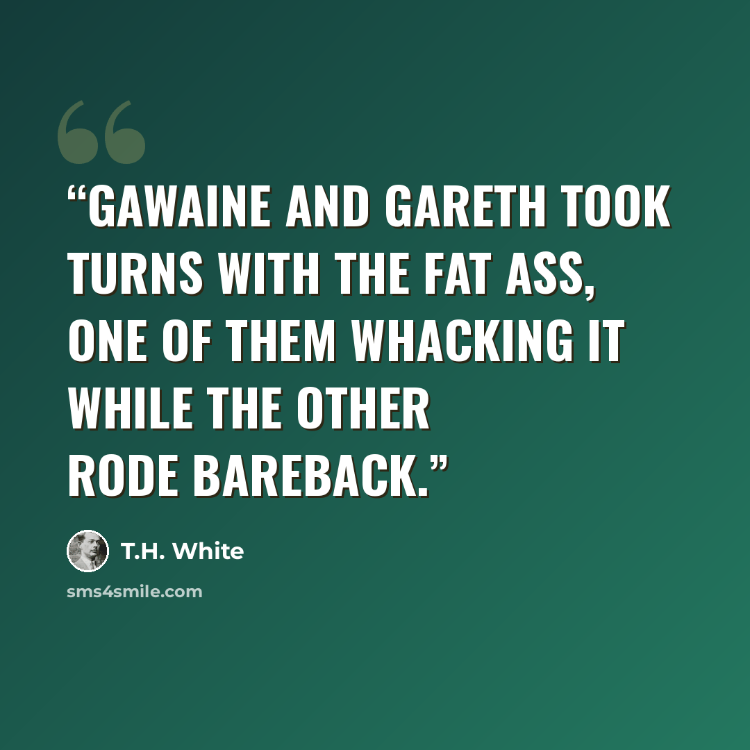 “Gawaine and Gareth took turns with the fat ass, one of them whacking it while the other rode bareback.” quote by T.H. White