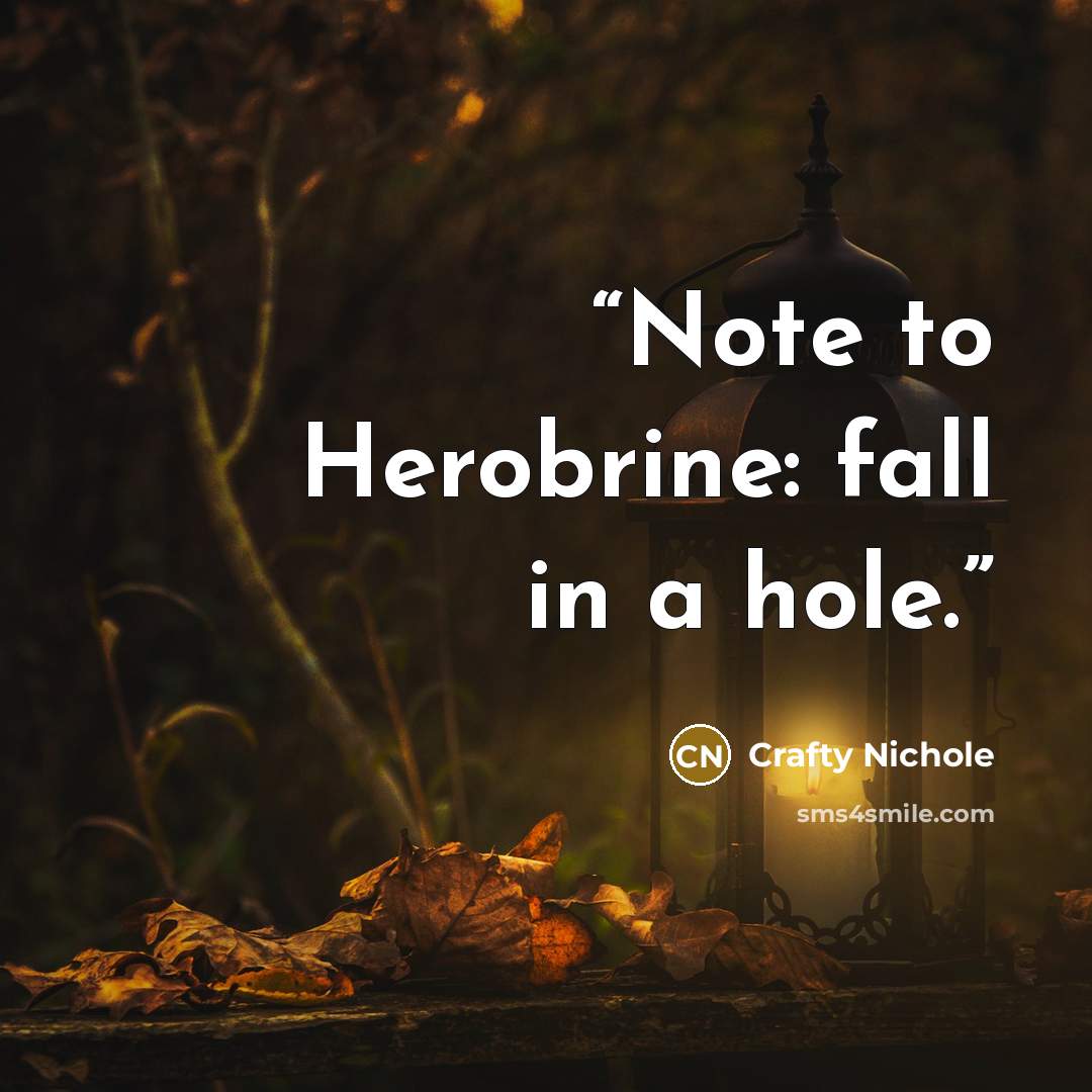 “Note to Herobrine: fall in a hole.” quote by Crafty Nichole
