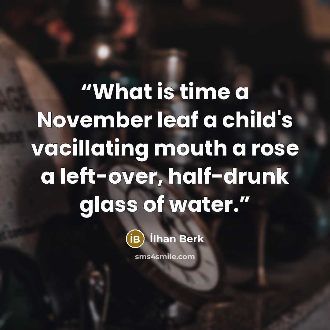 “What is time a November leaf a child's vacillating mouth a rose a left-over, half-drunk glass of water.” quote by Ilhan Berk