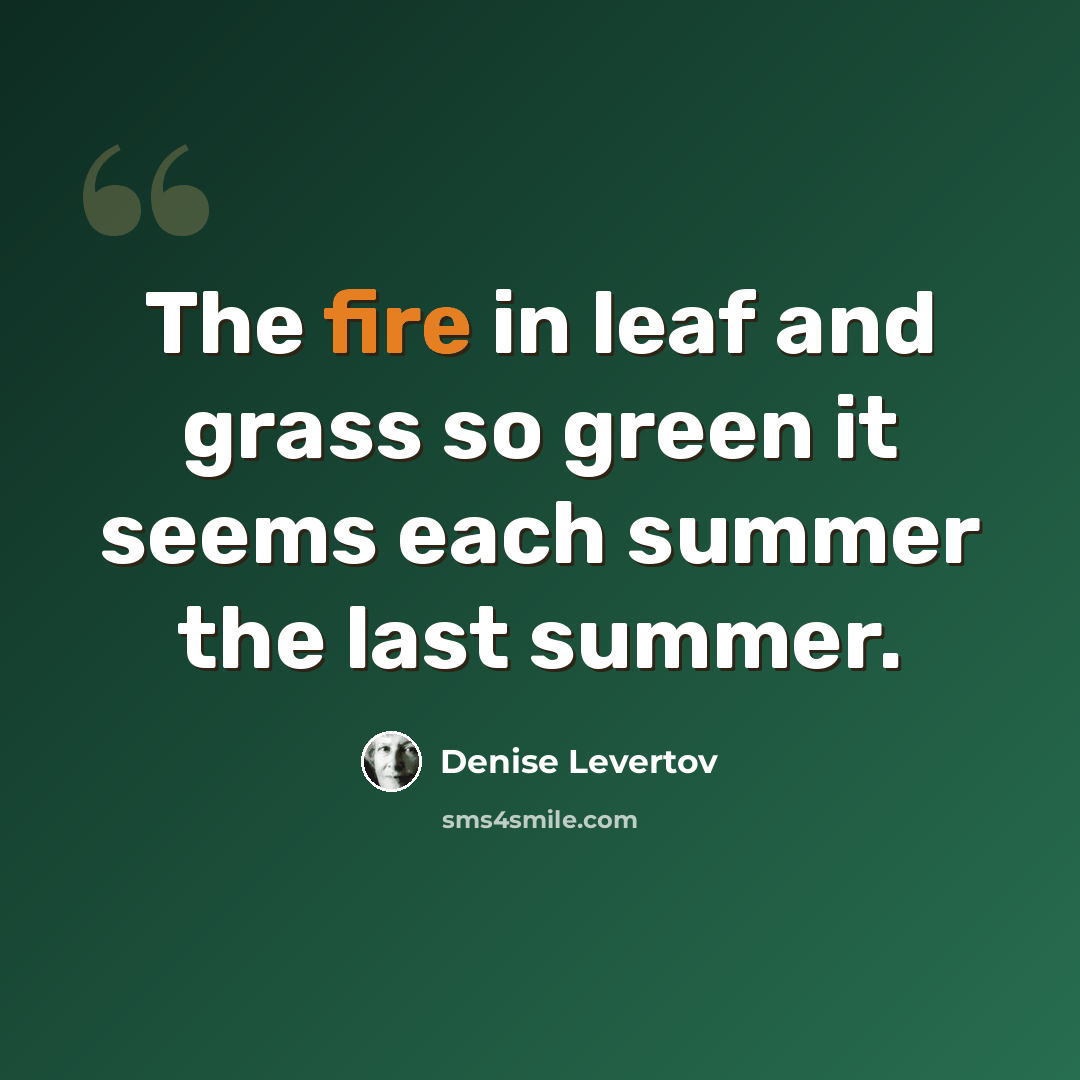 “The fire in leaf and grass so green it seems each summer the last summer.” quote by Denise Levertov