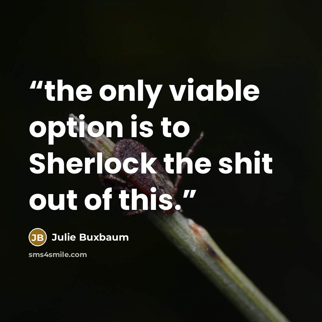 “the only viable option is to Sherlock the shit out of this.” quote by Julie Buxbaum