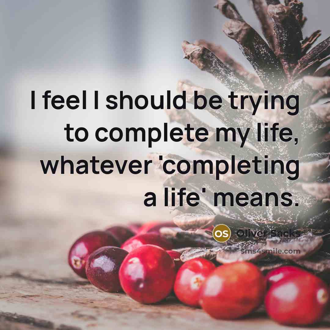 “I feel I should be trying to complete my life, whatever 'completing a life' means.” quote by Oliver Sacks