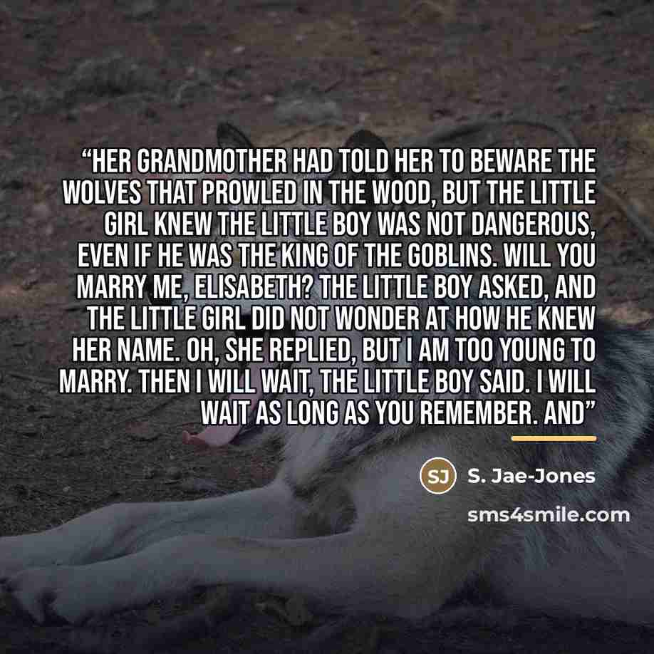 “Her grandmother had told her to beware the wolves that prowled in the wood, but the little girl knew the little boy was not dangerous, even if he was the king of the goblins. Will you marry me, Elisabeth? the little boy asked, and the little girl did not wonder at how he knew her name. Oh, she…” quote by S. Jae-Jones