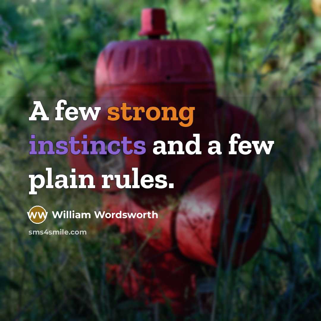 “A few strong instincts and a few plain rules.” quote by William Wordsworth