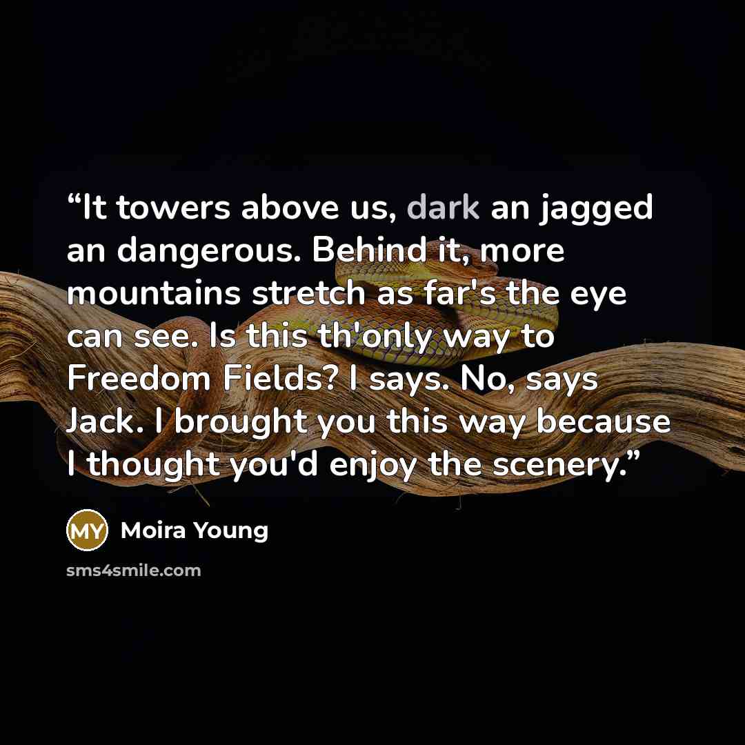 “It towers above us, dark an jagged an dangerous. Behind it, more mountains stretch as far's the eye can see. Is this th'only way to Freedom Fields? I says. No, says Jack. I brought you this way because I thought you'd enjoy the scenery.” quote by Moira Young