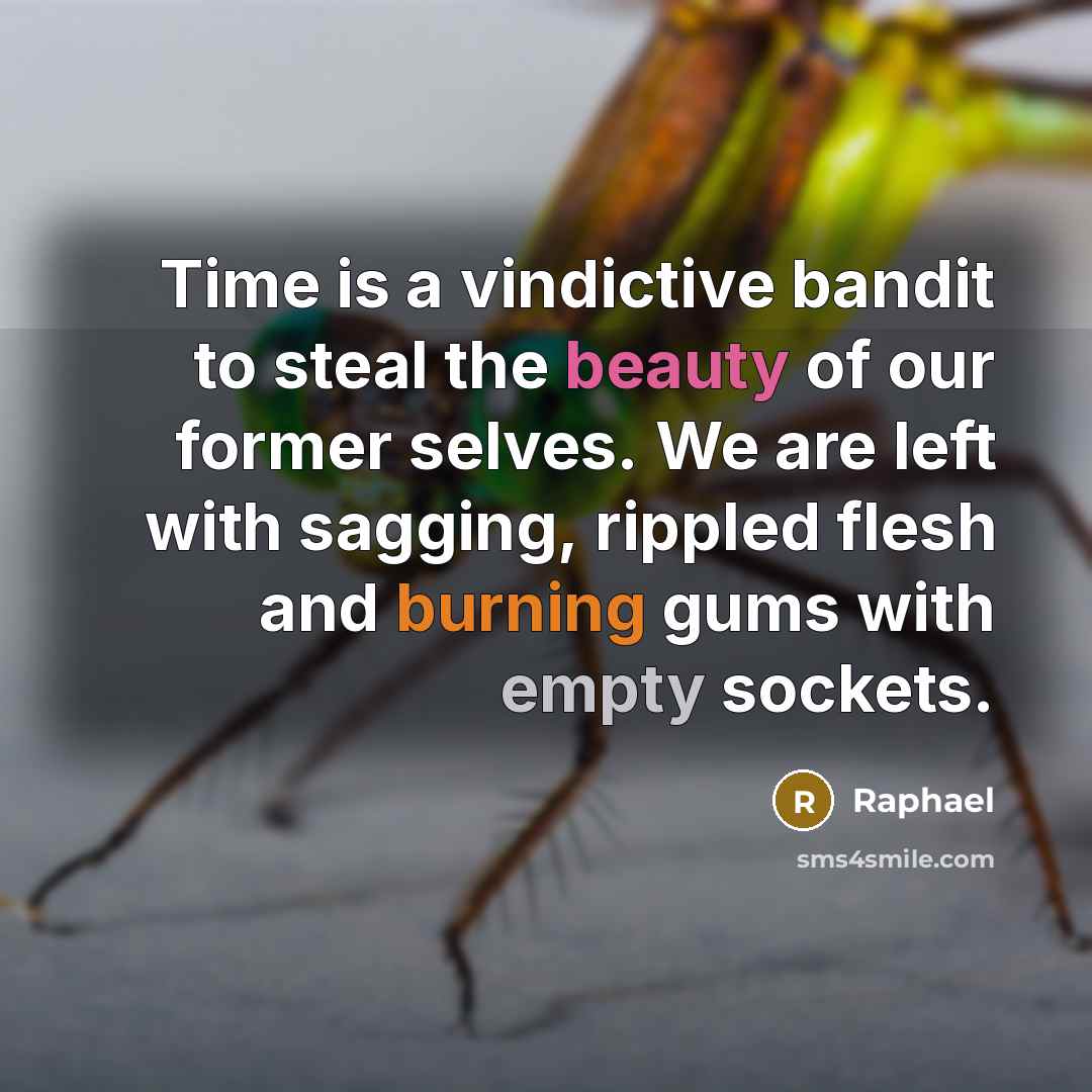 “Time is a vindictive bandit to steal the beauty of our former selves. We are left with sagging, rippled flesh and burning gums with empty sockets.” quote by Raphael