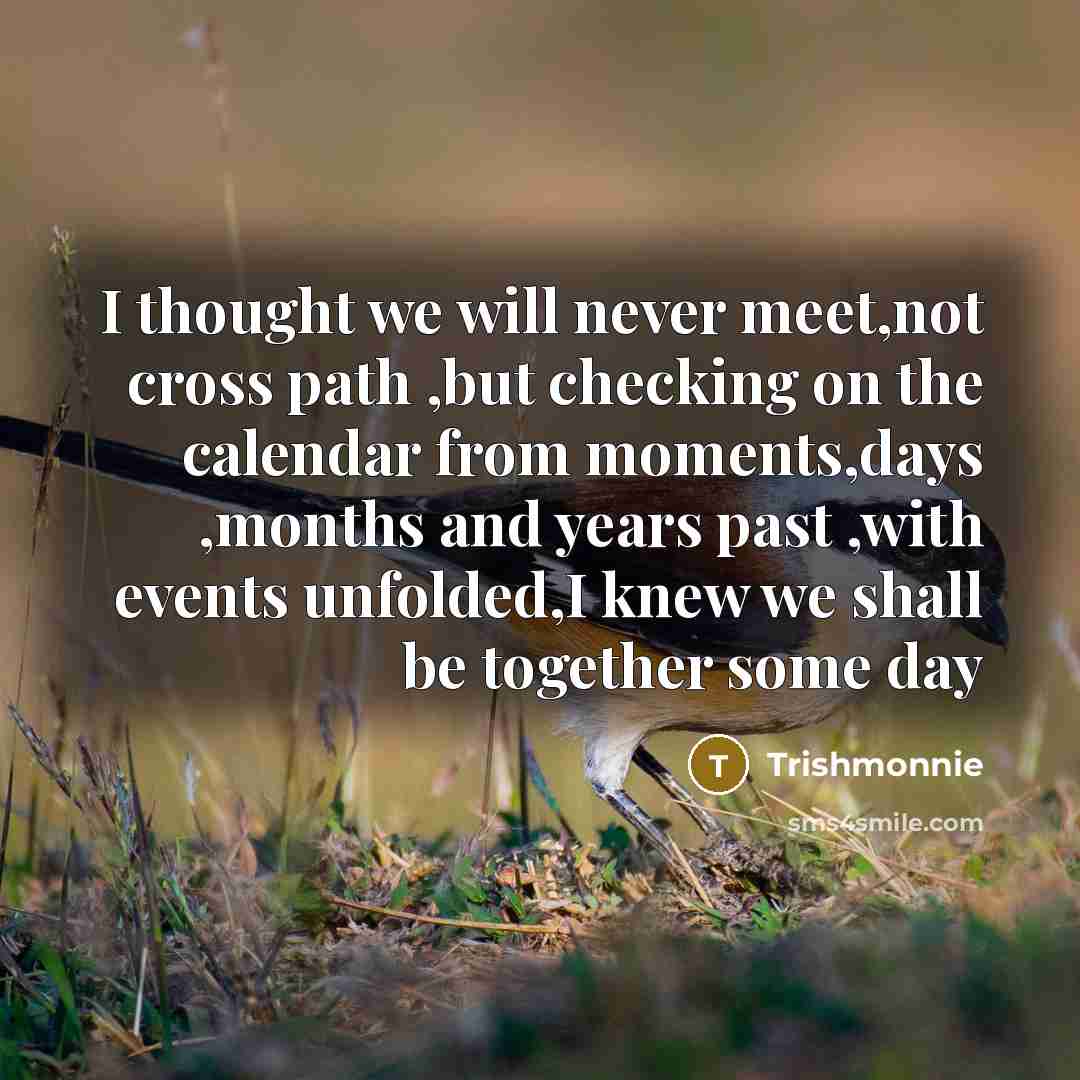 “I thought we will never meet,not cross path ,but checking on the calendar from moments,days ,months and years past ,with events unfolded,I knew we shall be together some day” quote by Trishmonnie