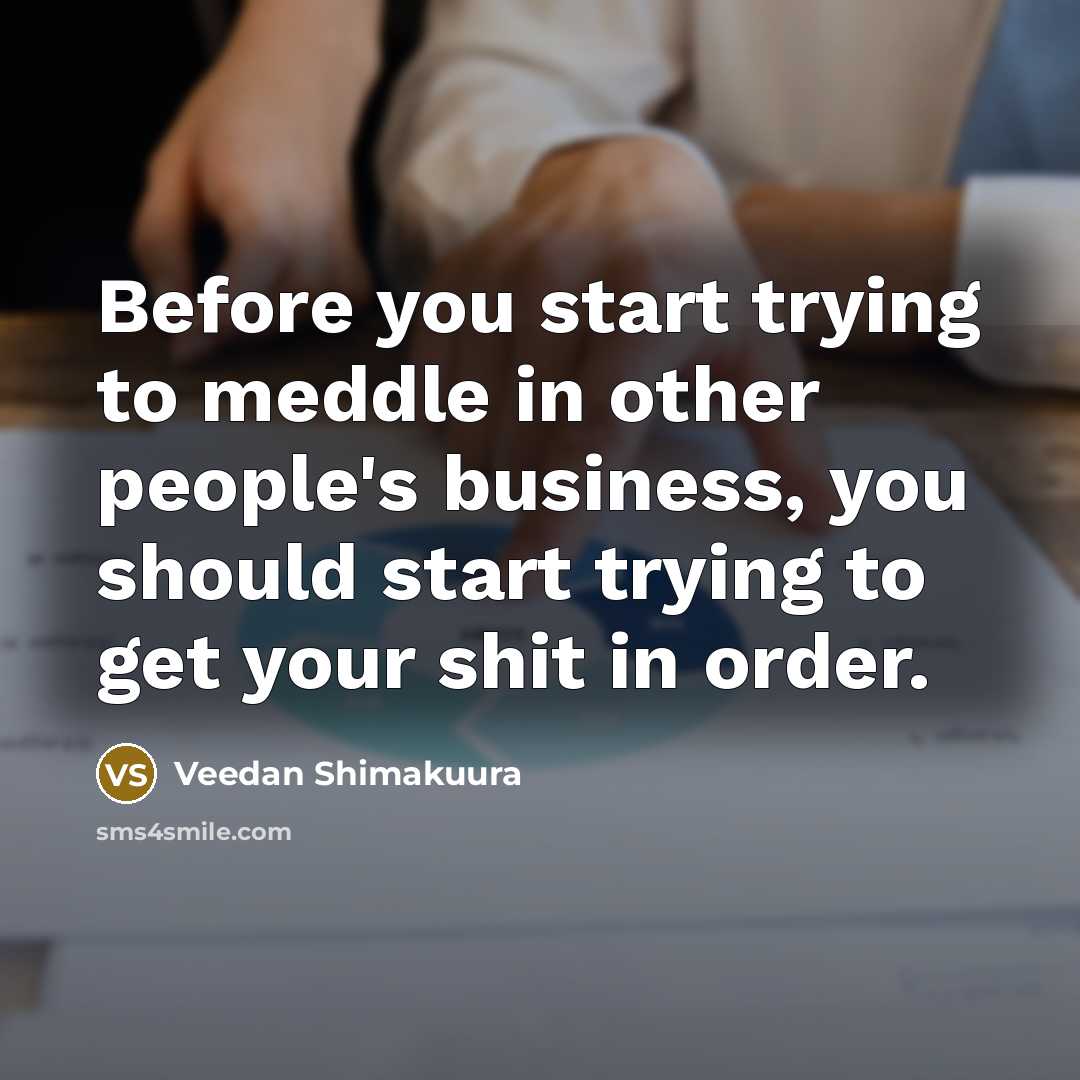 “Before you start trying to meddle in other people's business, you should start trying to get your shit in order.” quote by Veedan Shimakuura