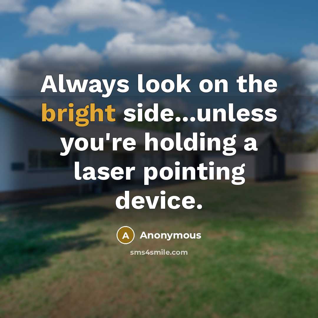 “Always look on the bright side...unless you're holding a laser pointing device.” quote by Anonymous