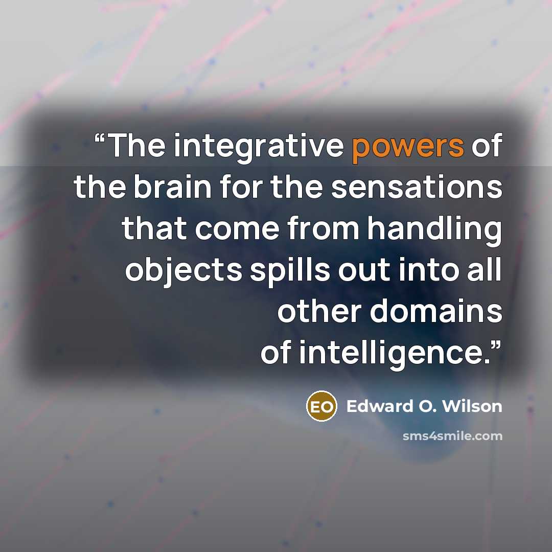 “The integrative powers of the brain for the sensations that come from handling objects spills out into all other domains of intelligence.” quote by Edward O. Wilson